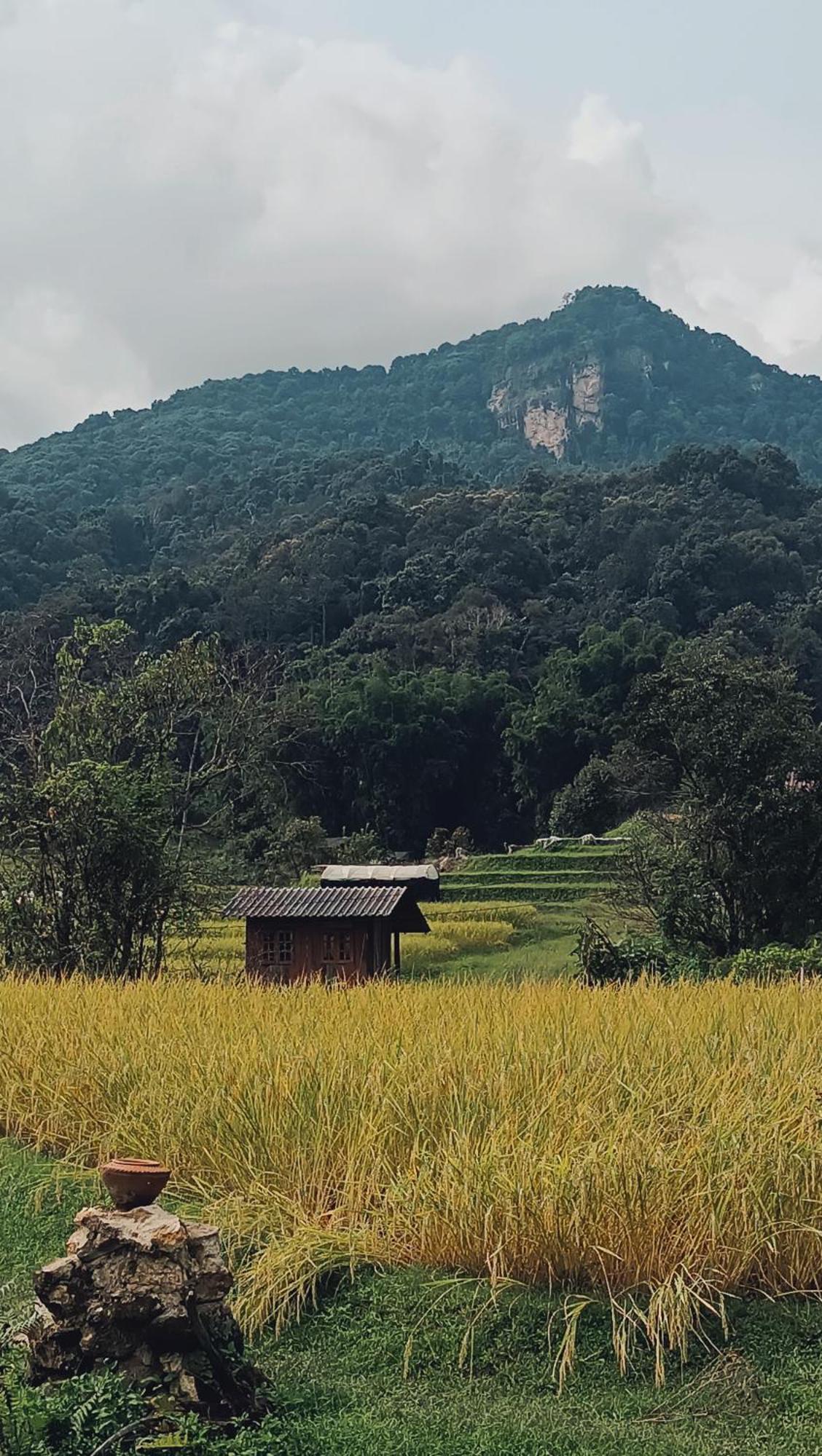 Cabinthai Mae Chaem Ngoại thất bức ảnh