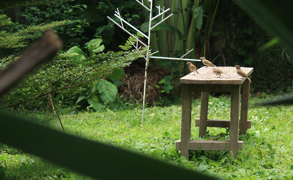 Cabinthai Mae Chaem Ngoại thất bức ảnh